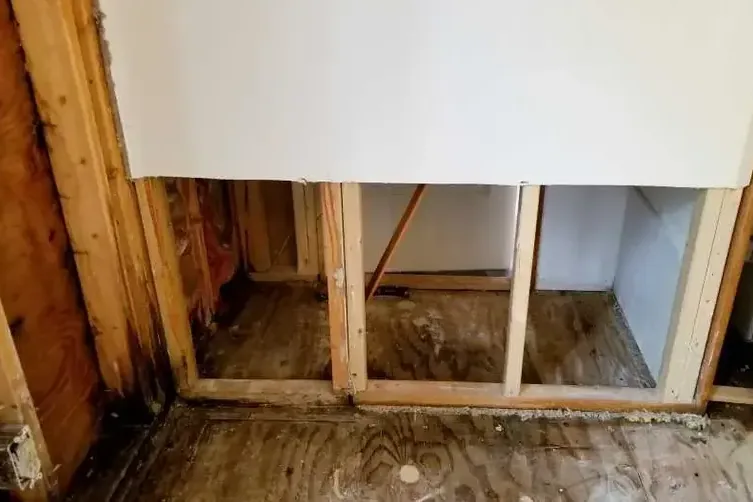 Drywall cut back above the wet zone so the wall framing can dry